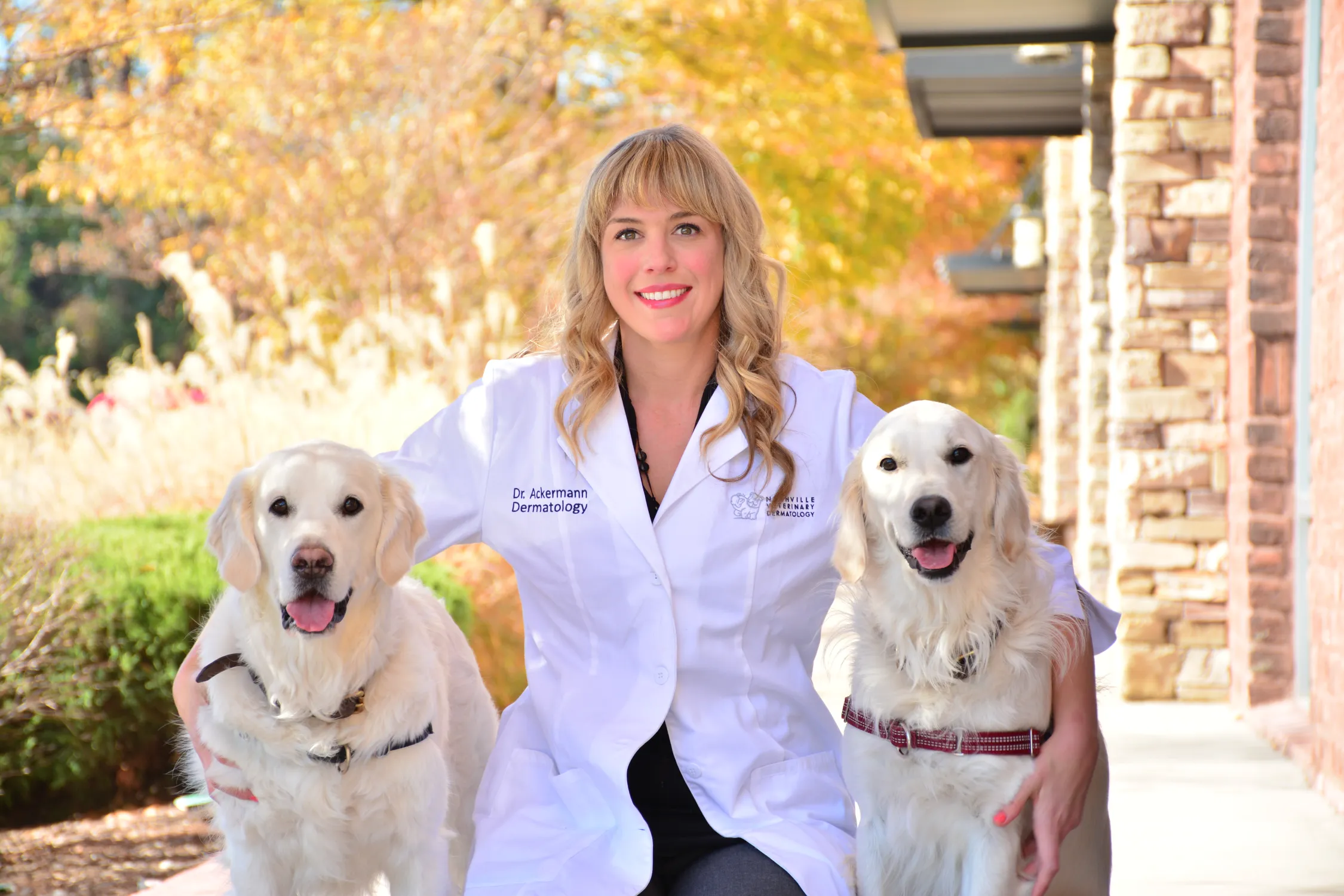 Nashville Veterinary Dermatology Chill Nashville